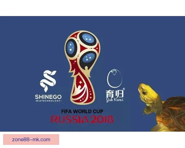 世界杯竞猜游戏规则全解析与趣味参与攻略指南